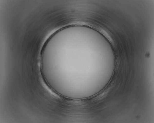 X0000093561084200710150952