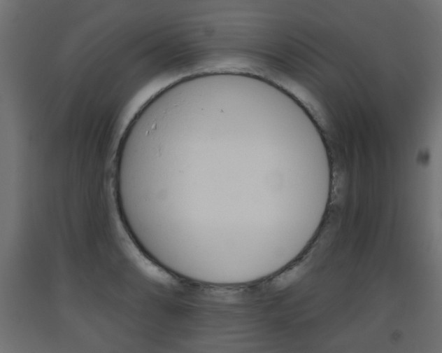 X0000093561086200710150952