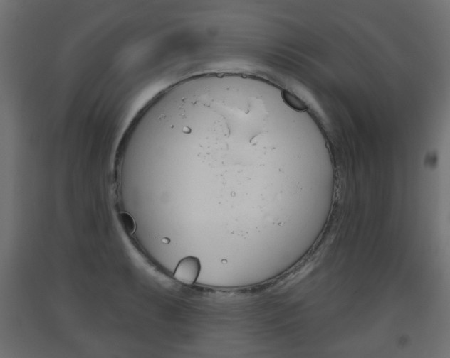 X0000093561087200710150951