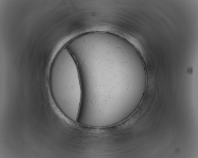 X0000093561088200710150951
