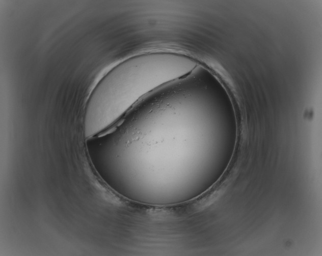 X0000093561089200710150951