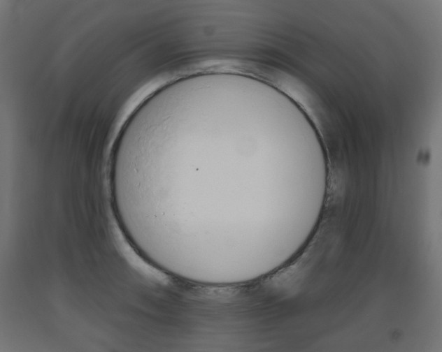 X0000093561090200710150951