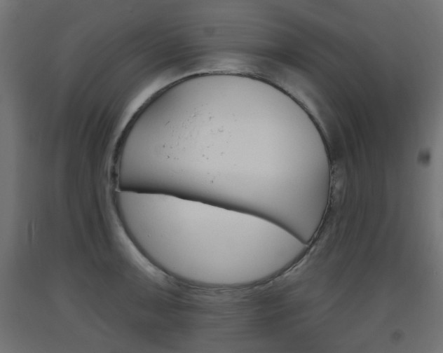 X0000093561091200710150951