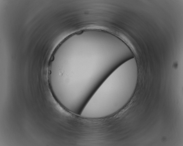 X0000093561092200710150951