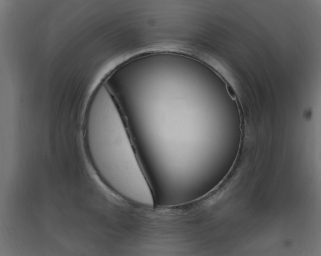 X0000093561093200710150951