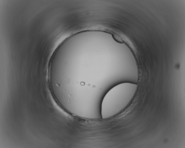 X0000093561095200710150951