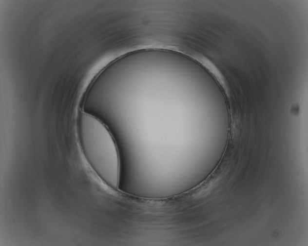 X0000093561096200710150951