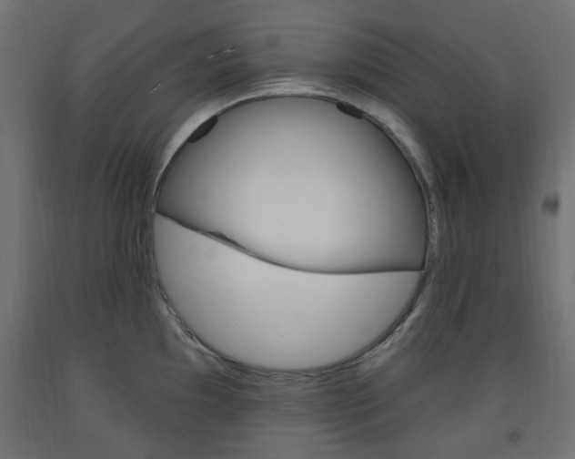 X0000093561097200710150951