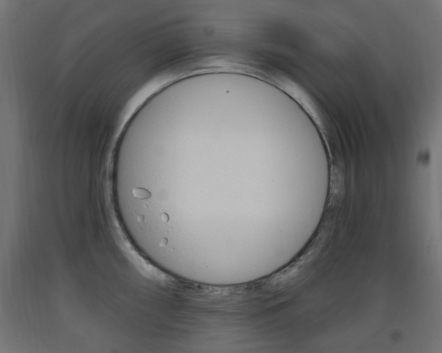 X0000093561098200710150951