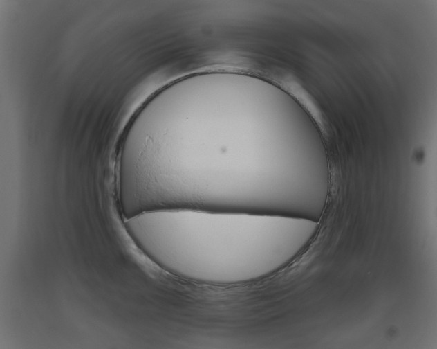 X0000093561099200710150951