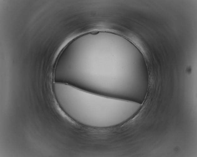 X0000093561100200710150951