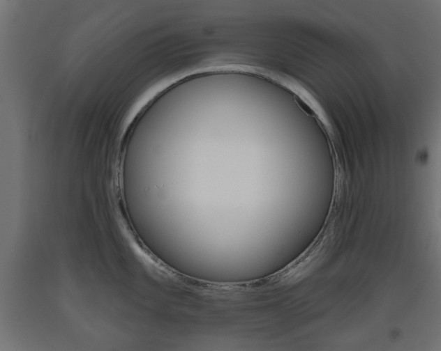 X0000093561101200710150951