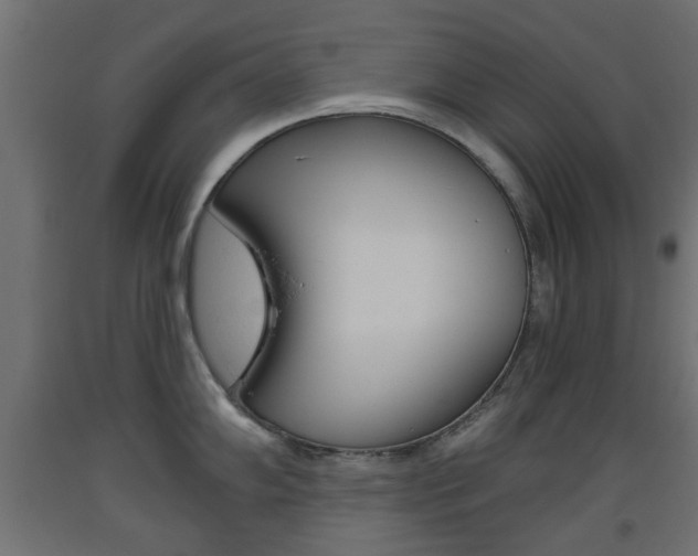 X0000093561102200710150951