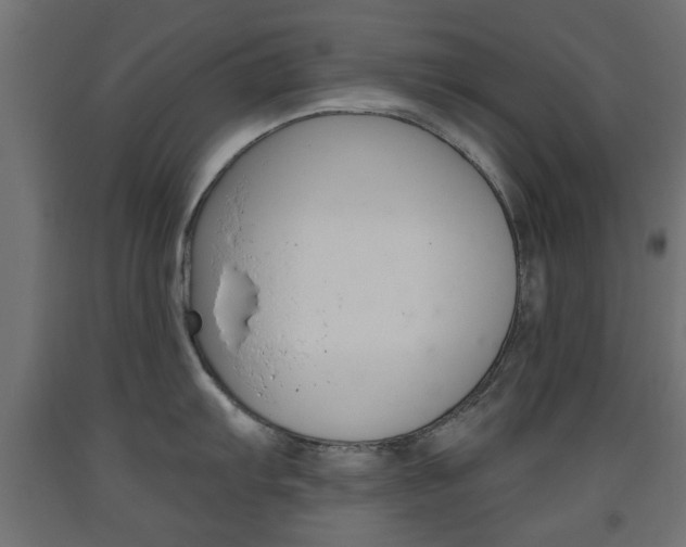 X0000093561103200710150951