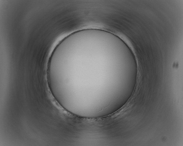 X0000093561104200710150951