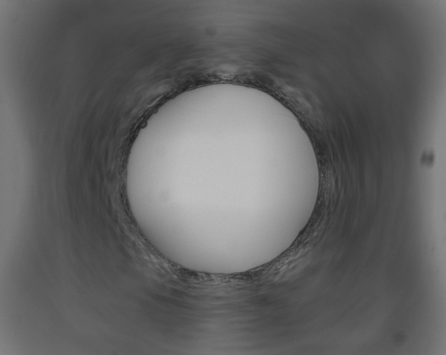 X0000093561105200710150951