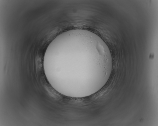 X0000093561106200710150951