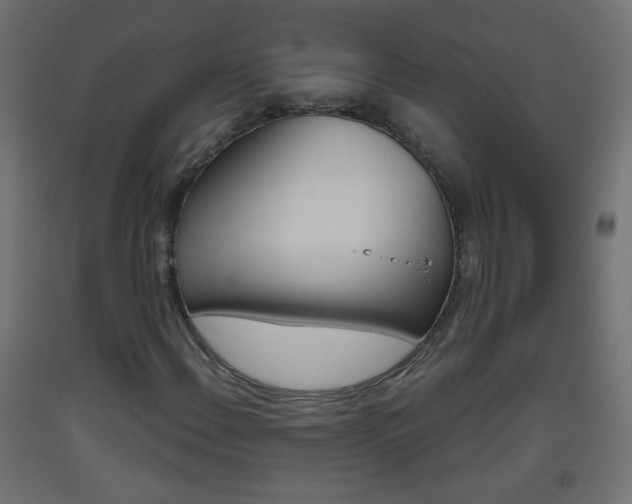 X0000093561108200710150951