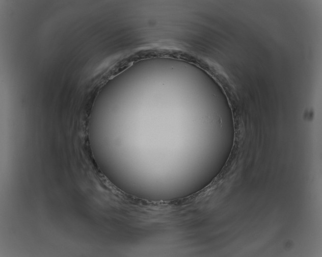 X0000093561110200710150951