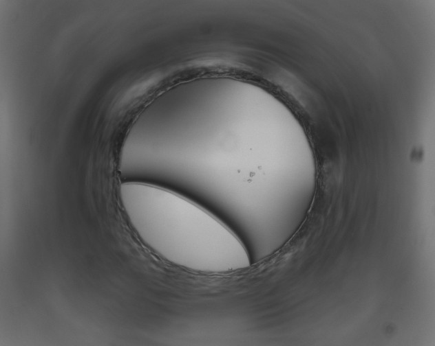 X0000093561111200710150951