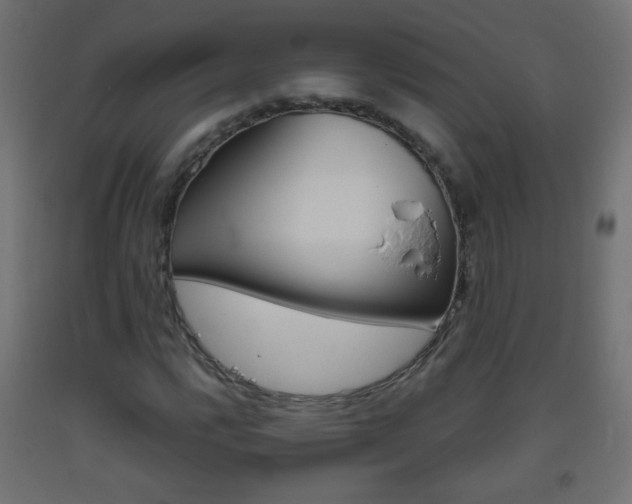X0000093561112200710150951