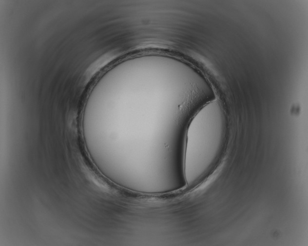 X0000093561113200710150951