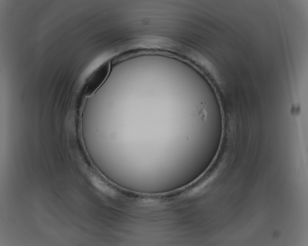 X0000093561114200710150951