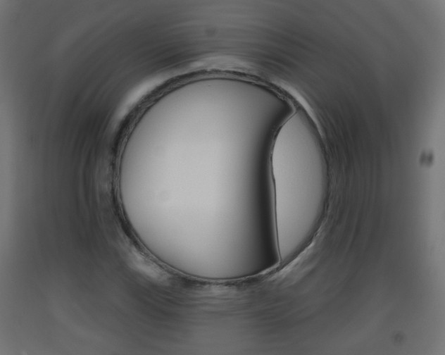 X0000093561115200710150951