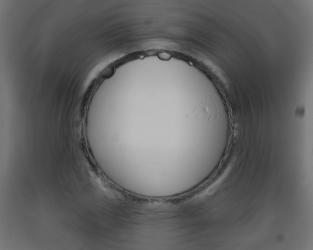 X0000093561117200710150951