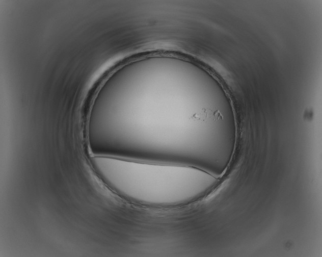 X0000093561118200710150951
