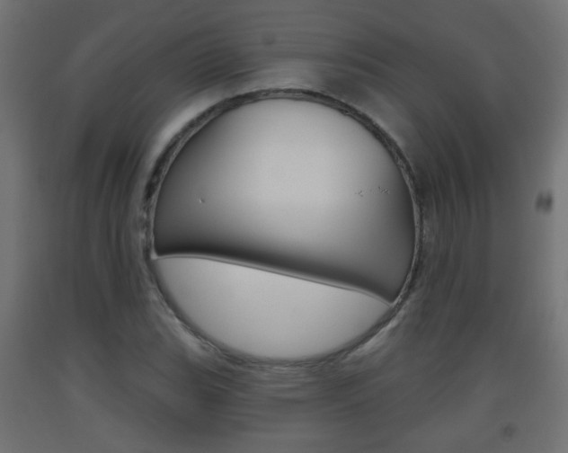 X0000093561119200710150951