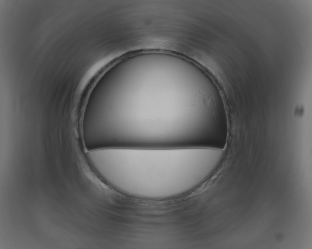 X0000093561120200710150951