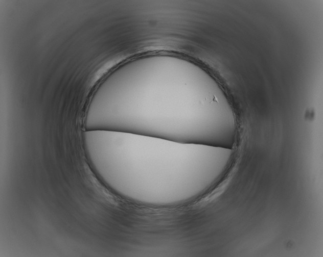 X0000093561121200710150951