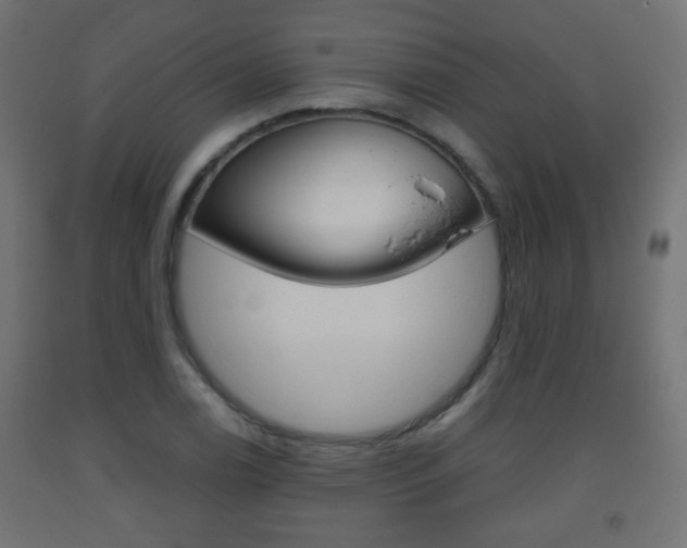 X0000093561122200710150951