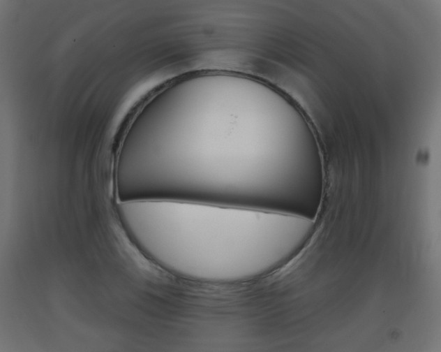X0000093561123200710150951