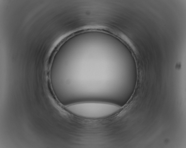X0000093561124200710150951
