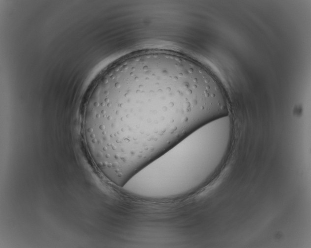 X0000093561125200710150951