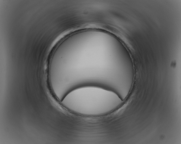 X0000093561126200710150951