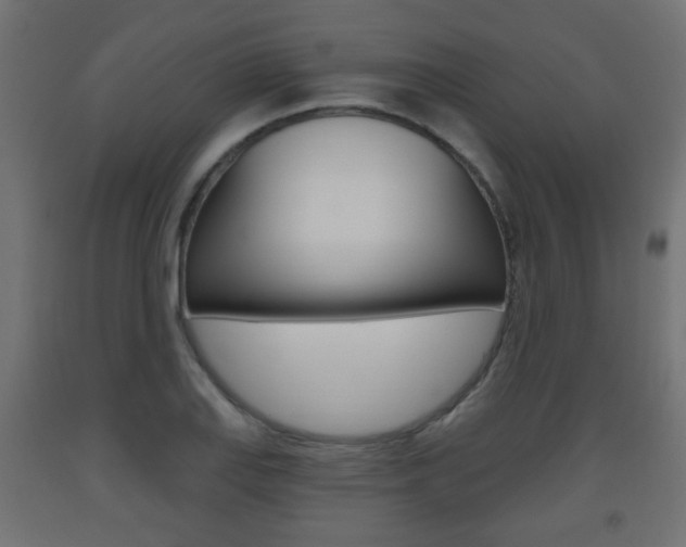 X0000093561127200710150951