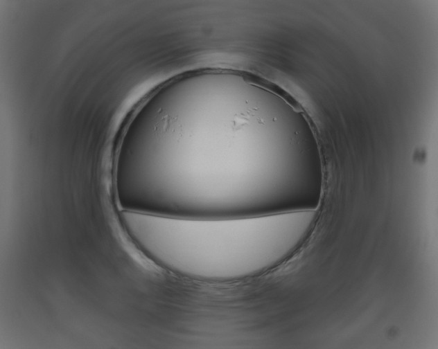 X0000093561128200710150951