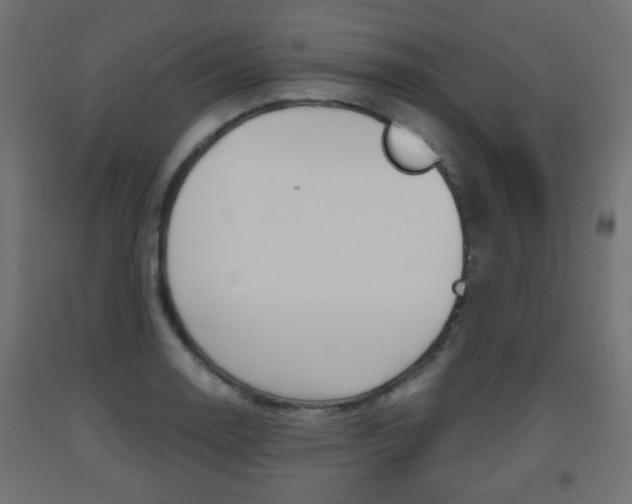 X0000093561130200710150951