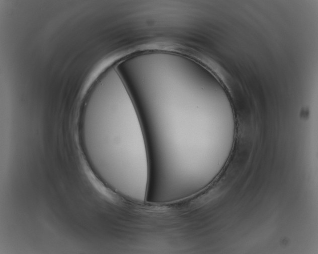 X0000093561131200710150951