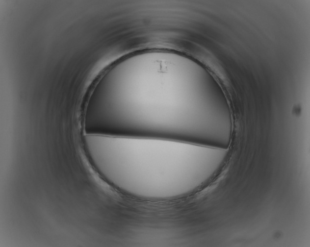 X0000093561133200710150951