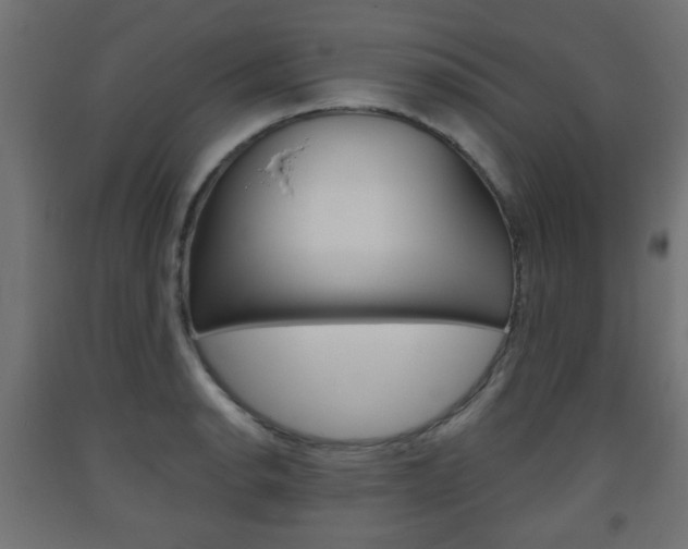X0000093561134200710150951