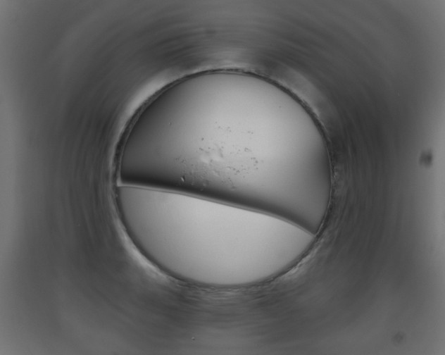 X0000093561135200710150951