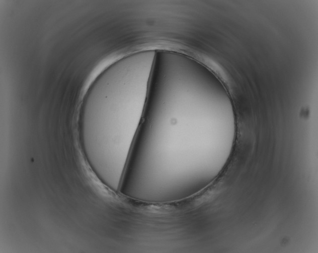 X0000093561138200710150951