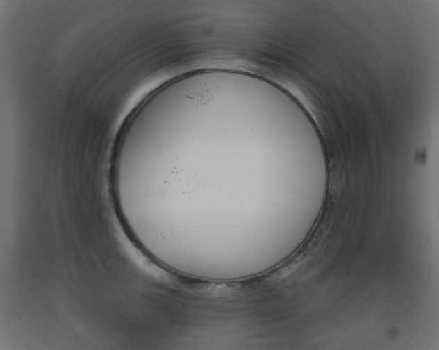 X0000093561139200710150951