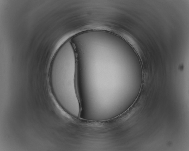 X0000093561141200710150951