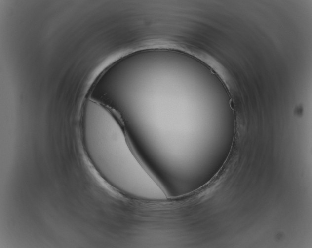 X0000093561142200710150951