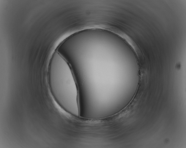 X0000093561143200710150951